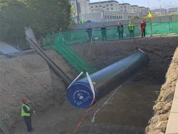 2021������P(gu��n)�о��늏S���������(xi��ng)Ŀ