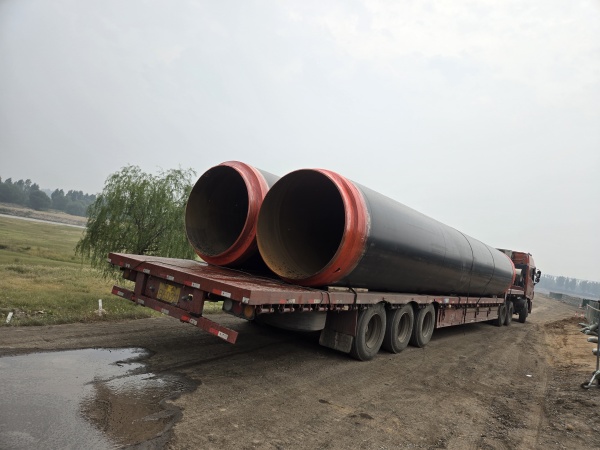 2024��ɽ���R���(xi��ng)Ŀ